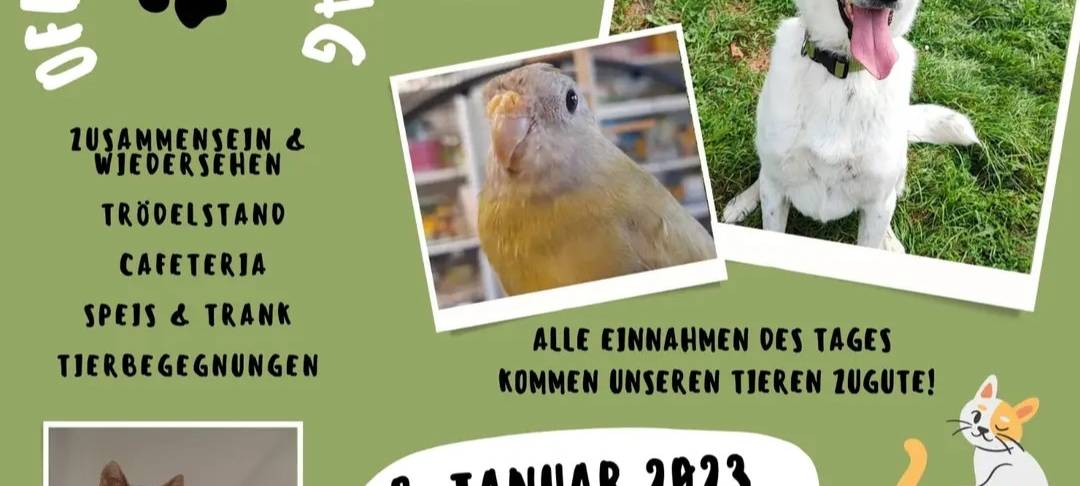 Tag der offenen Tür im Tierheim Lippstadt