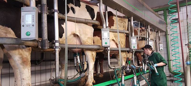 Der Landes-Melkwettbewerb 2016