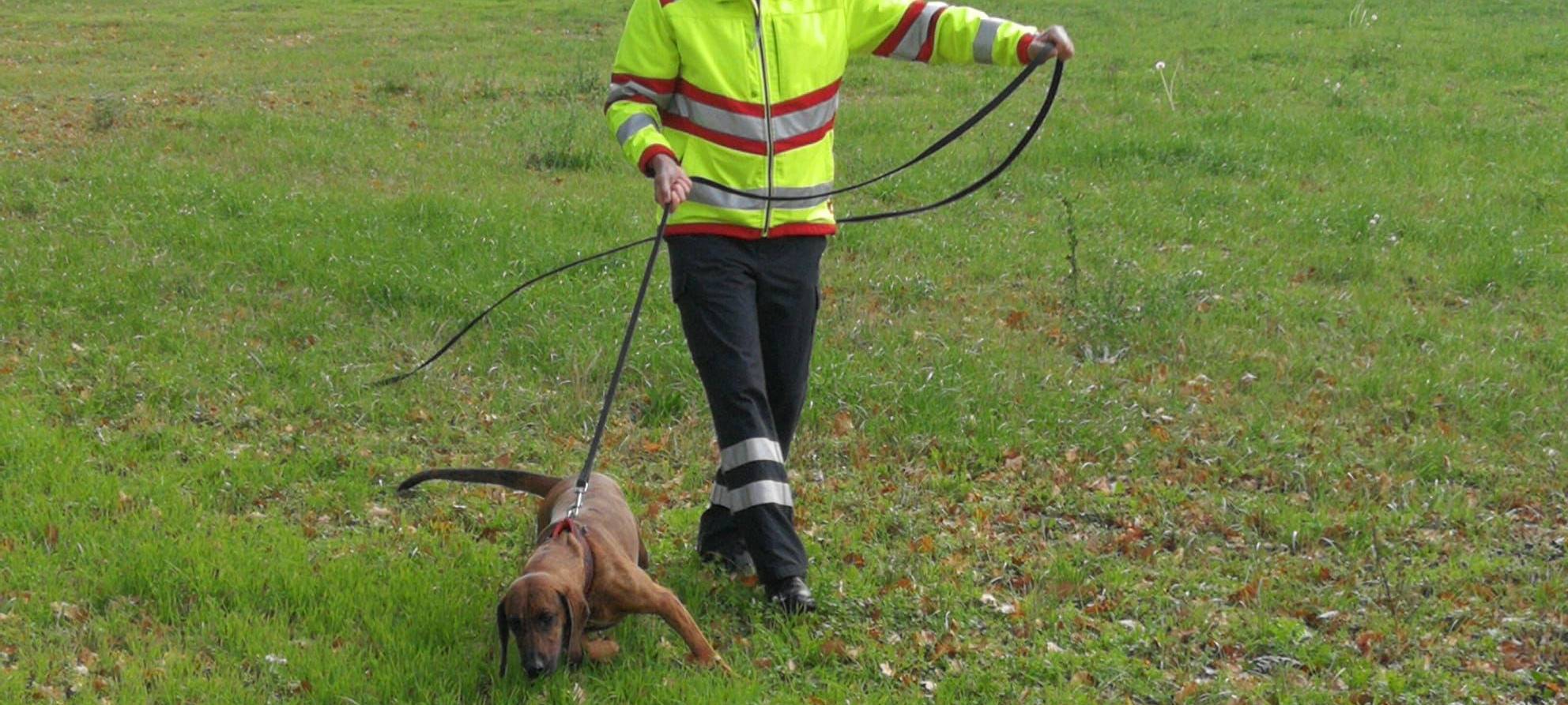 Suchhunde unterstützen die Feuerwehr Lippstadt