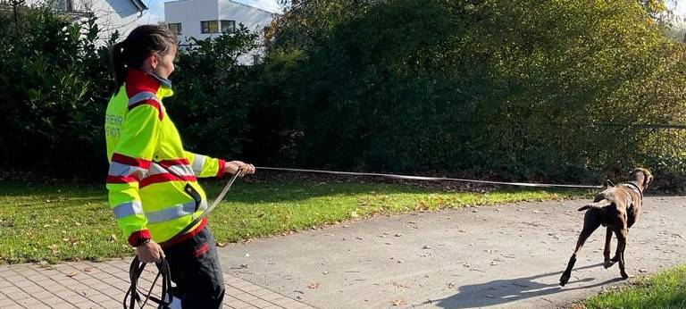 Suchhunde unterstützen die Feuerwehr Lippstadt
