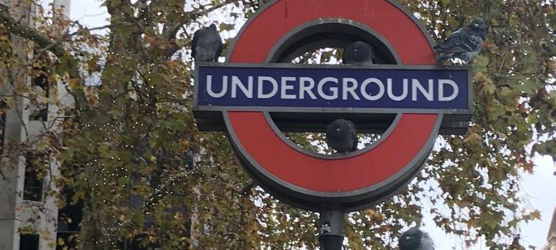 Reaktionen aus dem Kreis zum Brexitabkommen