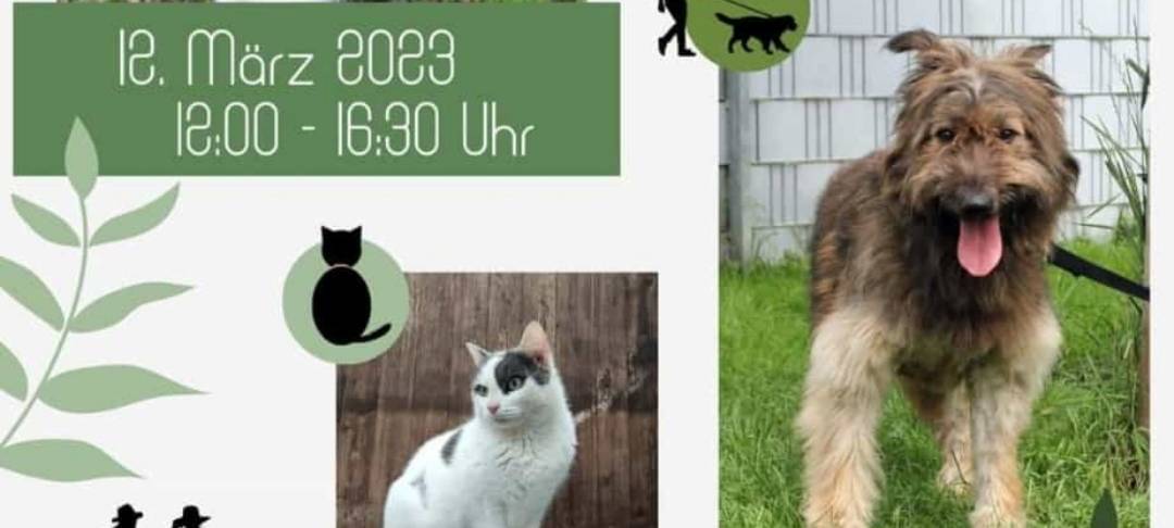 Offener Sonntag im Tierheim Lippstadt