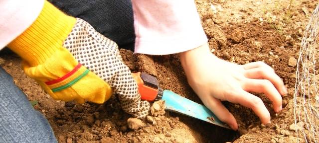 Im Frühling machen sich viele an die Gartenarbeit.