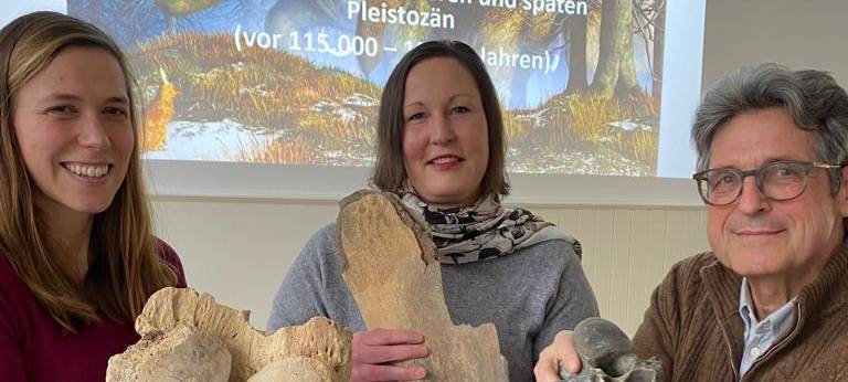 Mammut-Knochen auf Soester Dachboden entdeckt