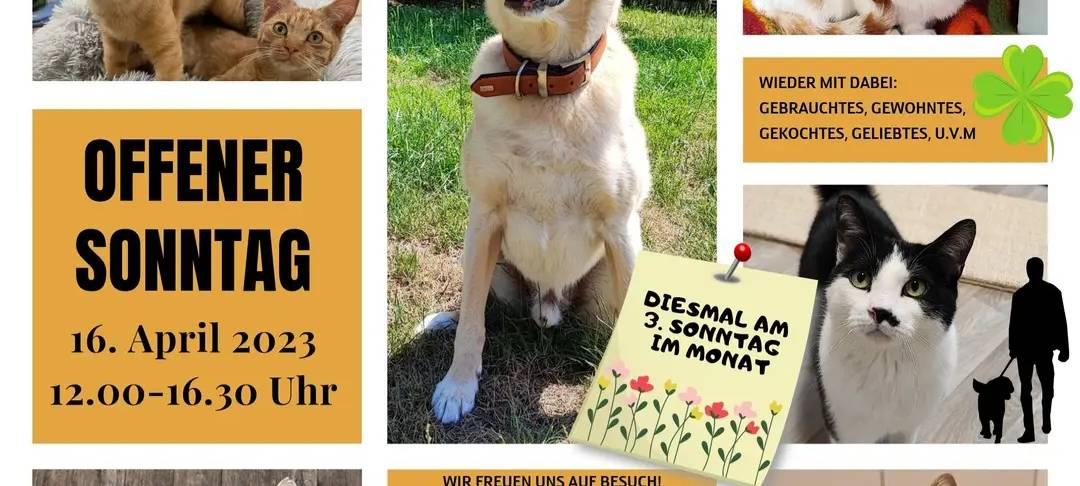 Offener Sonntag im Tierheim Lippstadt