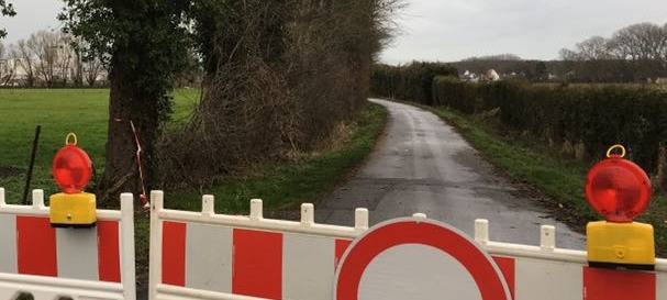 Sperrungen wegen Baumpflegearbeiten in Geseke