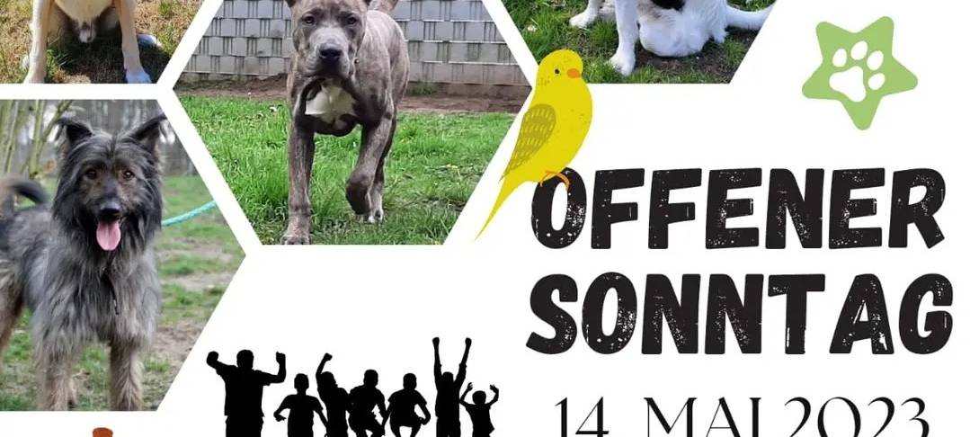 Offener Sonntag im Tierheim Lippstadt