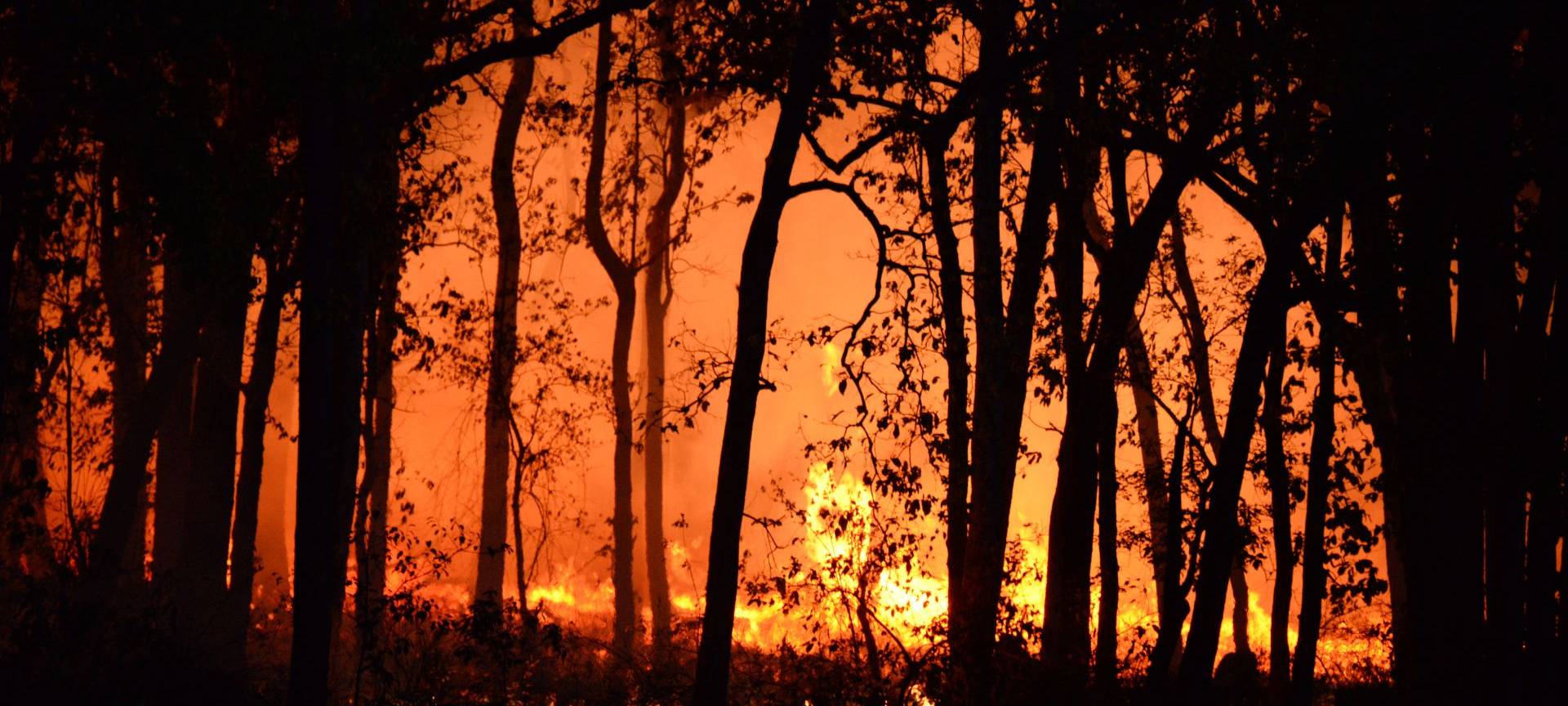 Waldbrandgefahr am Möhnesee