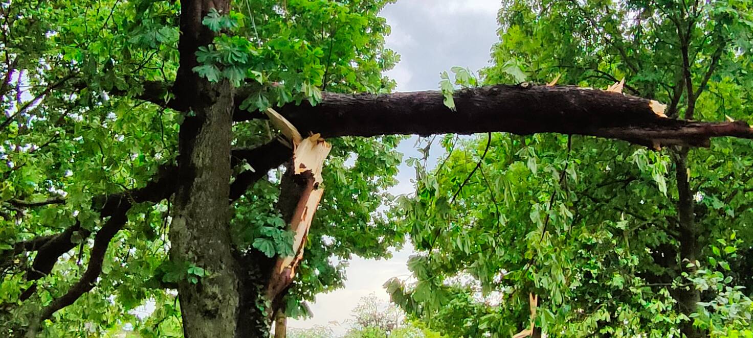 Vor 1 Jahr: Tornado in Lippstadt