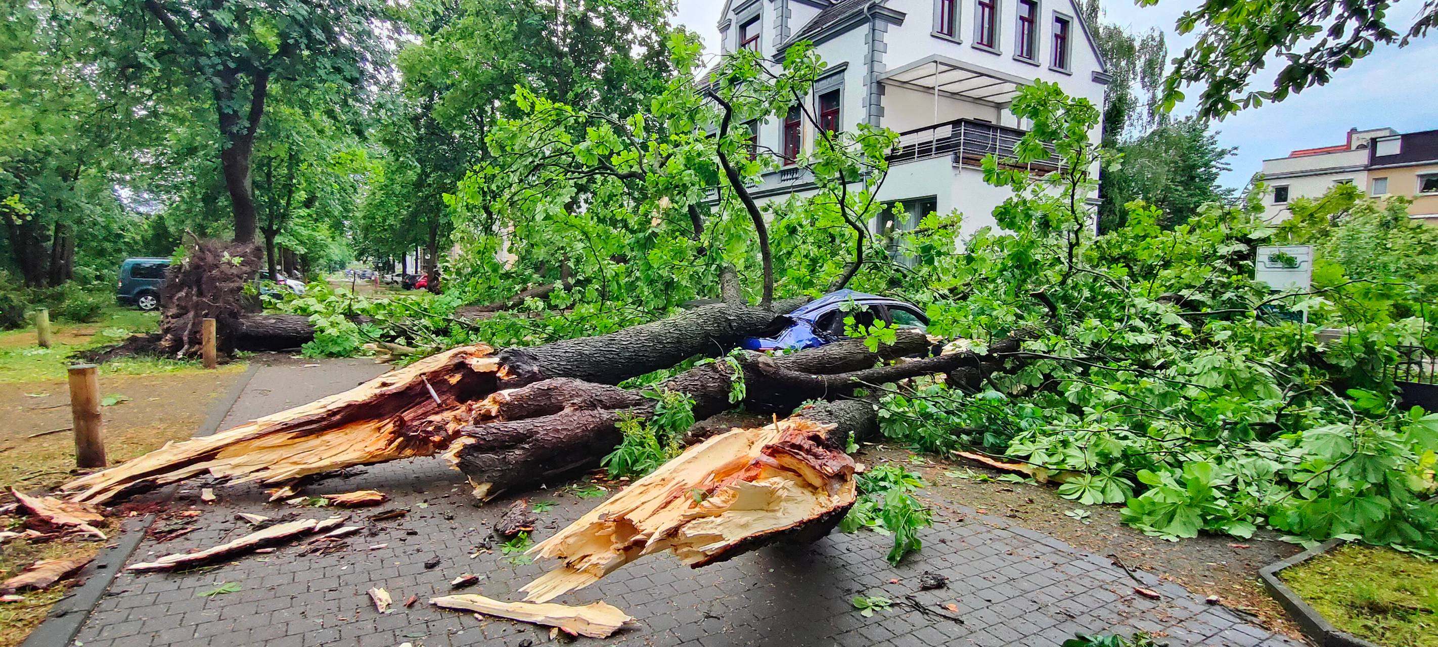 Vor 1 Jahr: Tornado in Lippstadt
