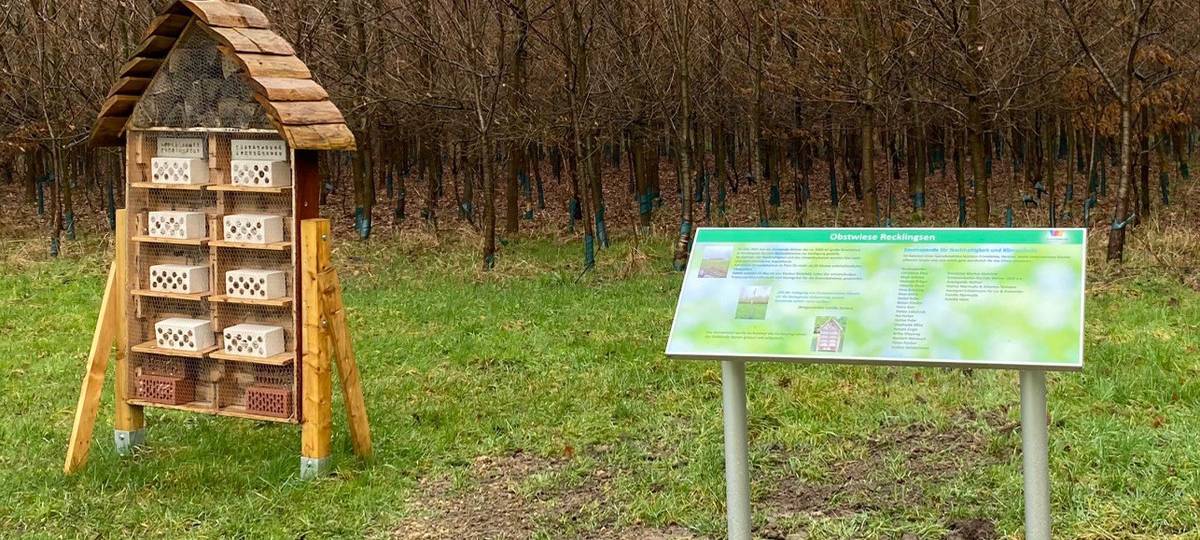 Welver: Baumspender für Streuobstwiese bitte melden!