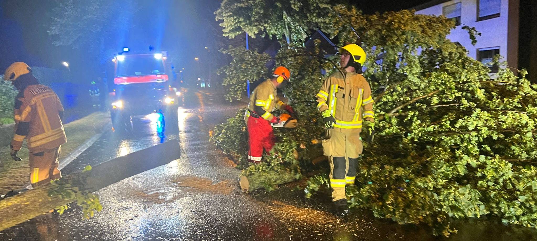 In Werl-Büderich ist ein Baum umgestürzt.