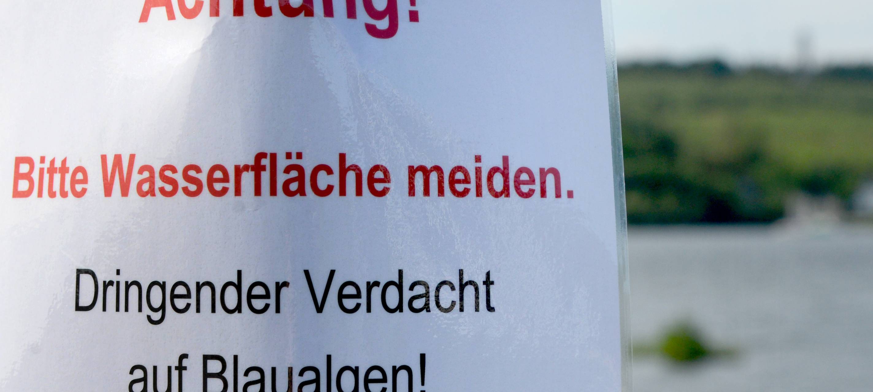 Ein Schild warnt vor der Gefahr durch Blaualgen.