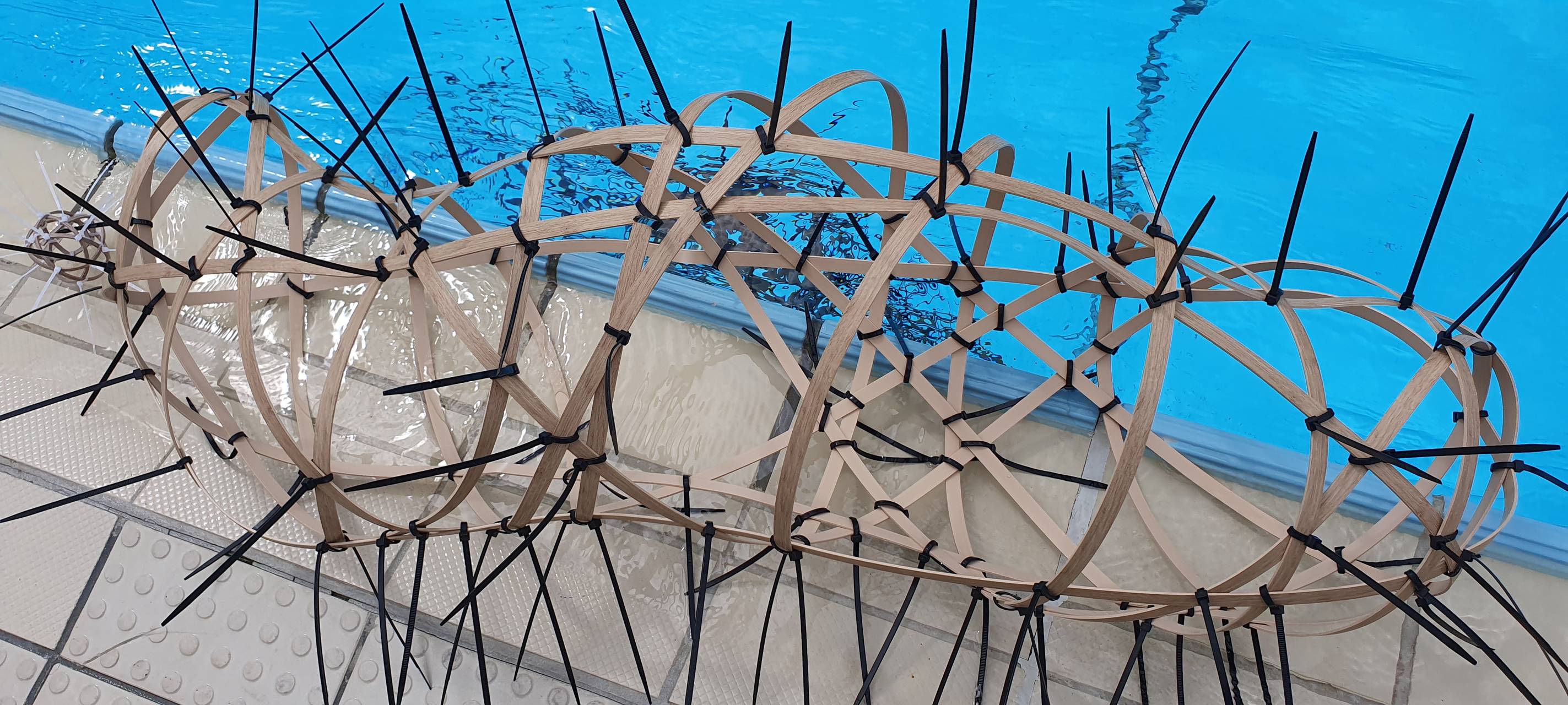 Die Aktion "Freischwimmen Kunst im Bad" findet Anfang September im Schlossbad Erwitte statt.