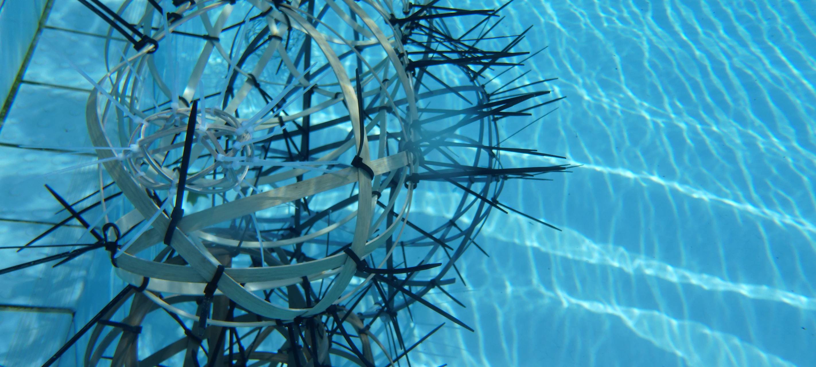 Die Aktion "Freischwimmen Kunst im Bad" findet Anfang September im Schlossbad Erwitte statt.