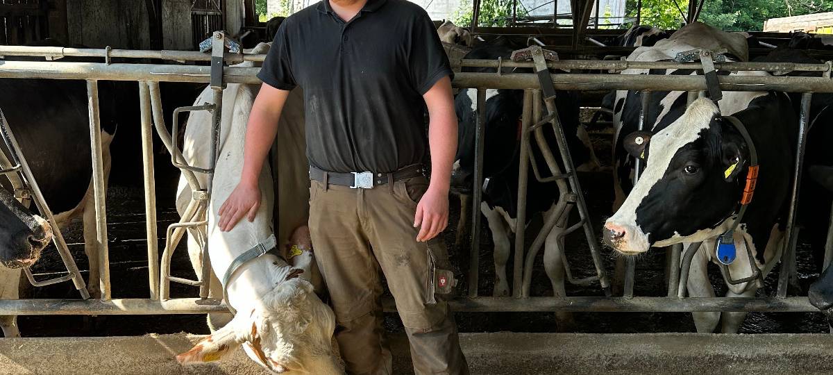 Alles in Butter? So leben und arbeiten moderne Milchkühe