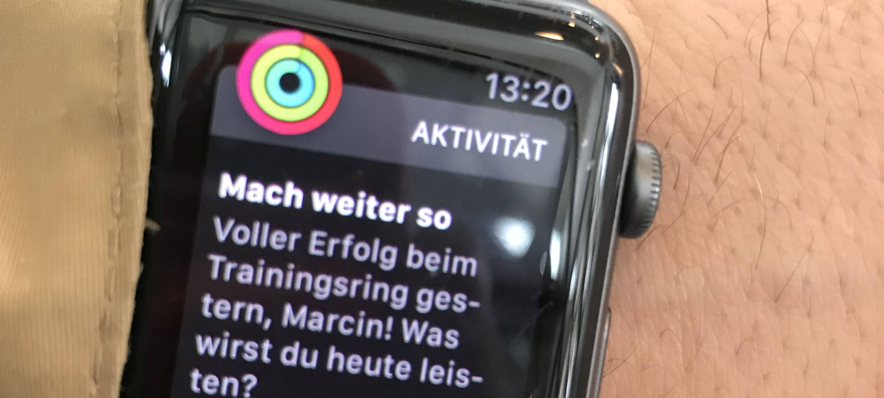 Kleine Helfer mit großer Wirkung