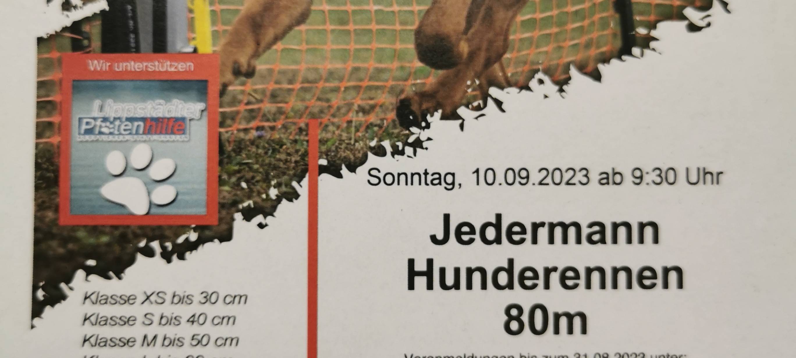 Hunderennen für Jederhund