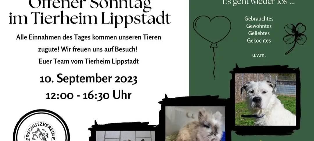 Offener Sonntag im Tierheim