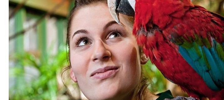 Der Bundesfreiwilligendienst - "Zeit, das Richtige zu tun."