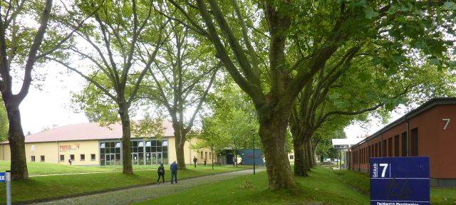 Webinare für Studieninteressierte