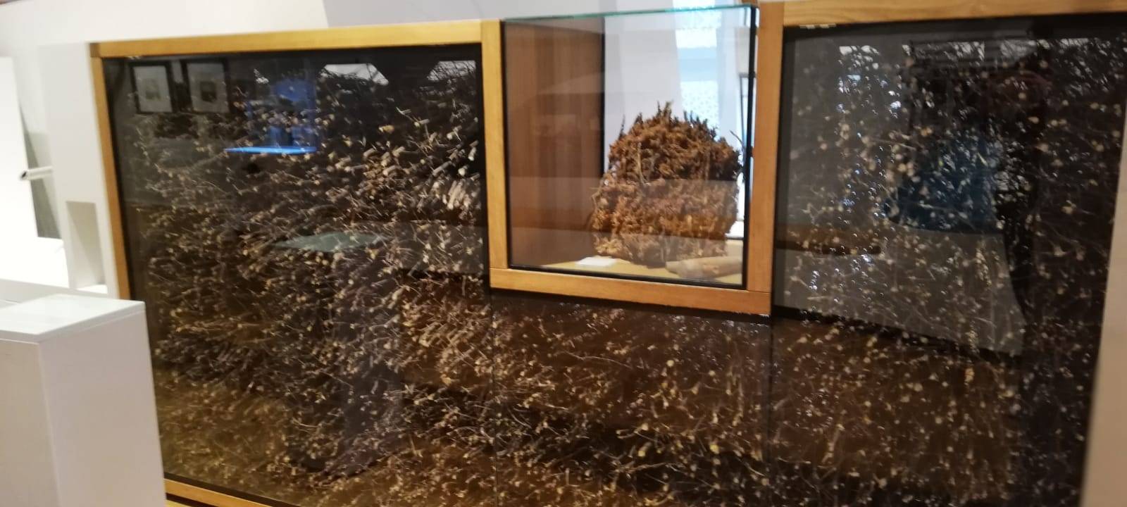 Indoor-Ausflugsziele für die Osterferien im Kreis Soest