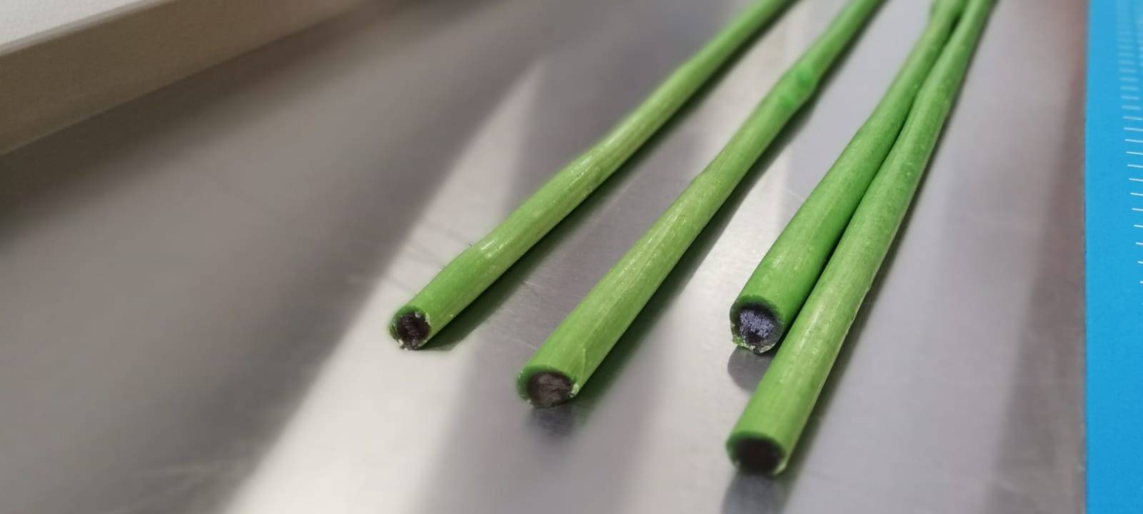 Indoor-Ausflugsziele für die Osterferien im Kreis Soest