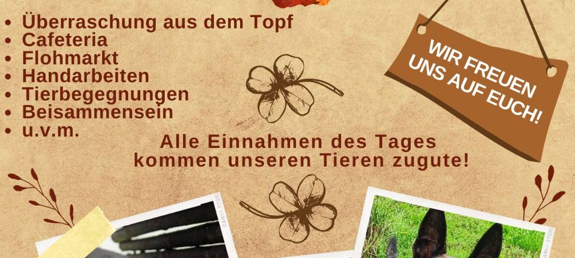 Offener Sonntag im Tierheim Lippstadt