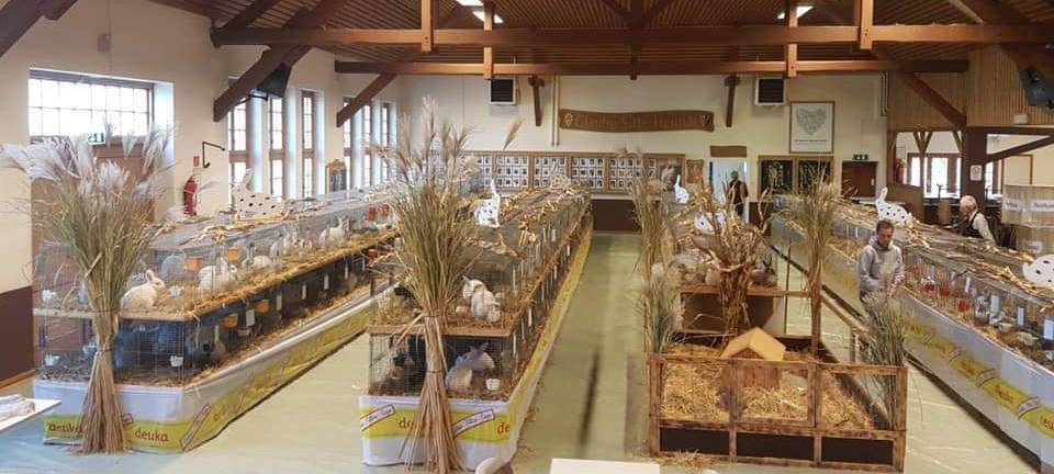 Kreisschau der Kaninchenzüchter des Kreisverbandes Soest - Paderborn