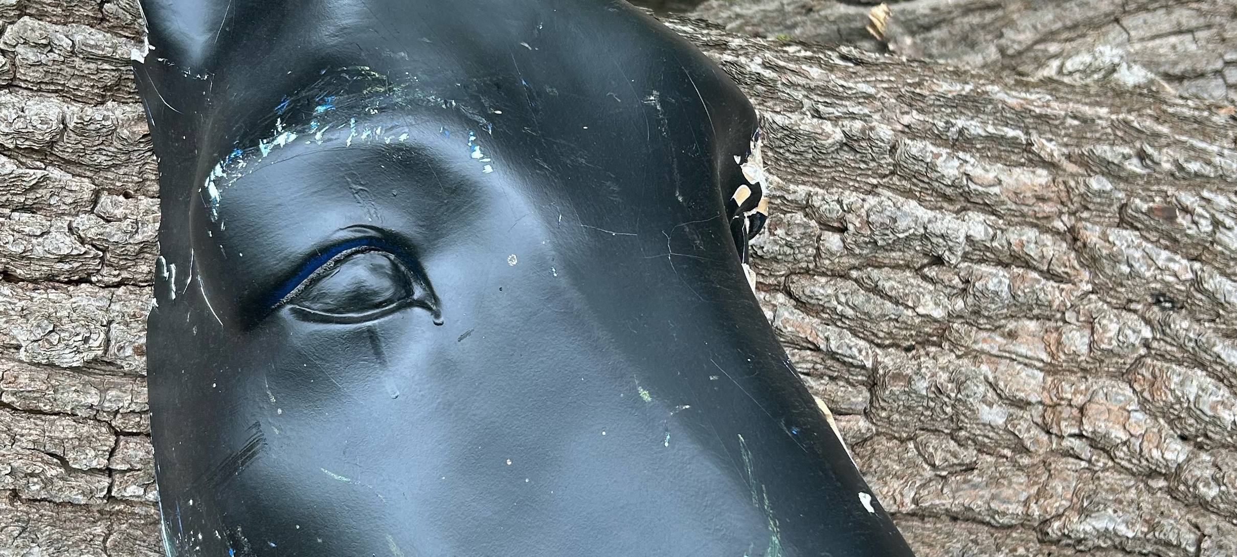 Kaputter Schalke-Esel in Ense gefunden