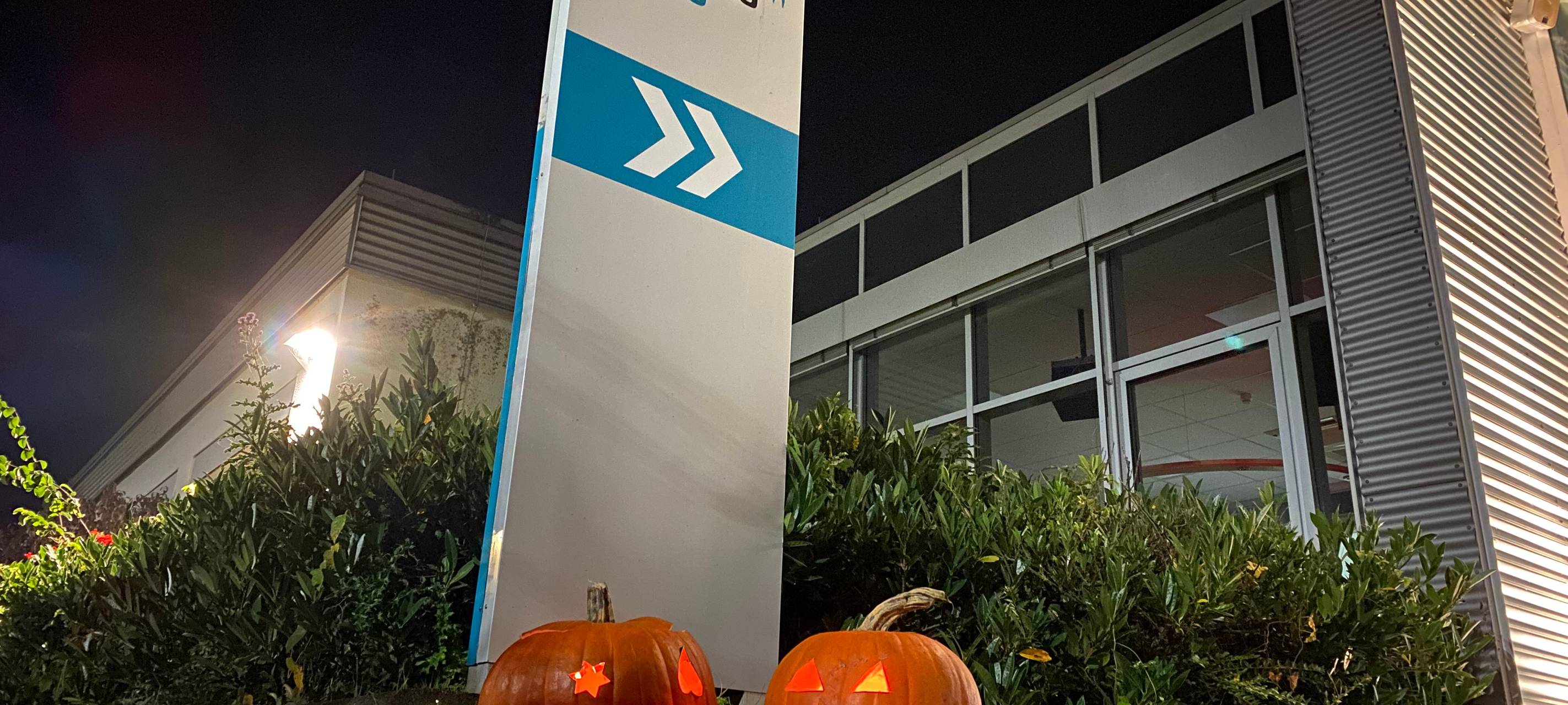 Halloween im Kreis Soest: Tipps für eure Kürbisse