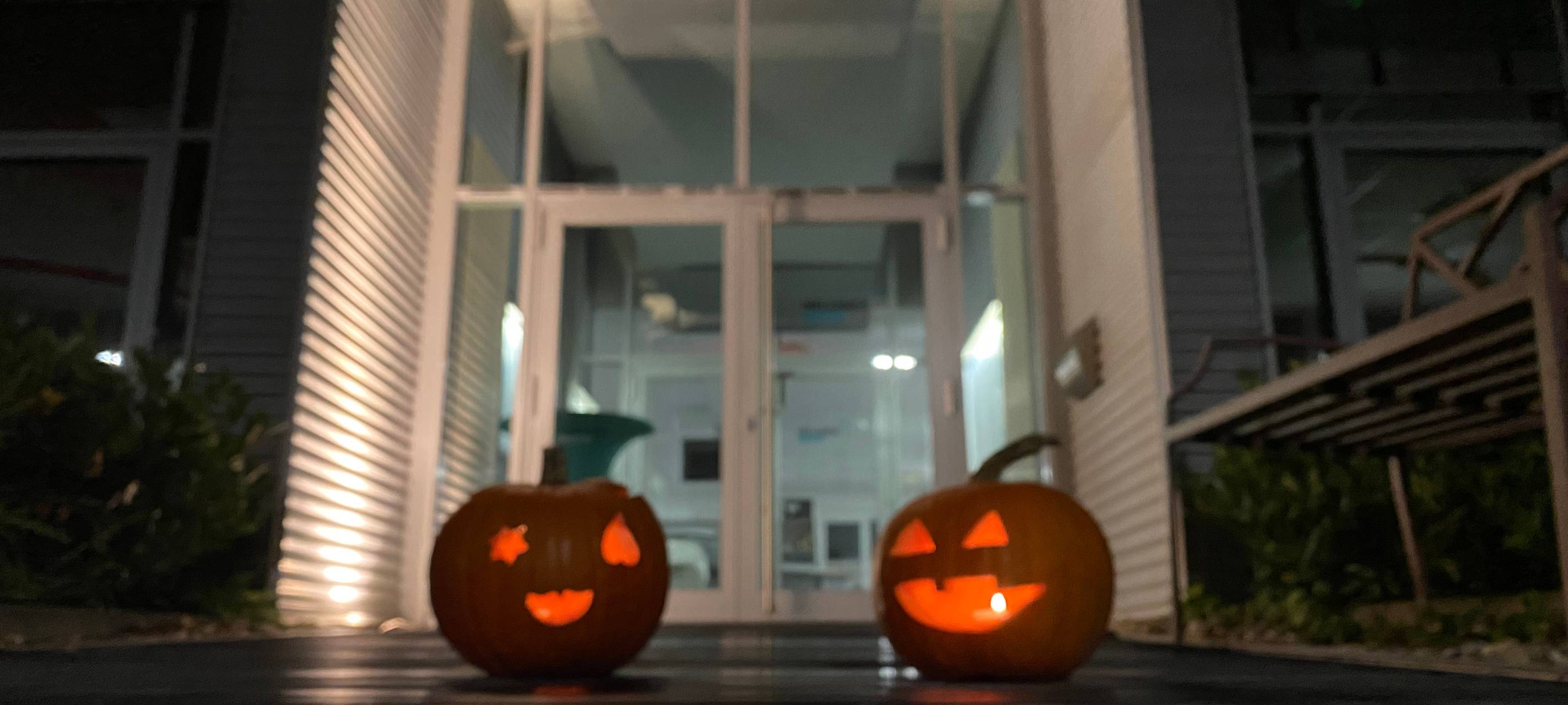 Halloween im Kreis Soest: Tipps für eure Kürbisse