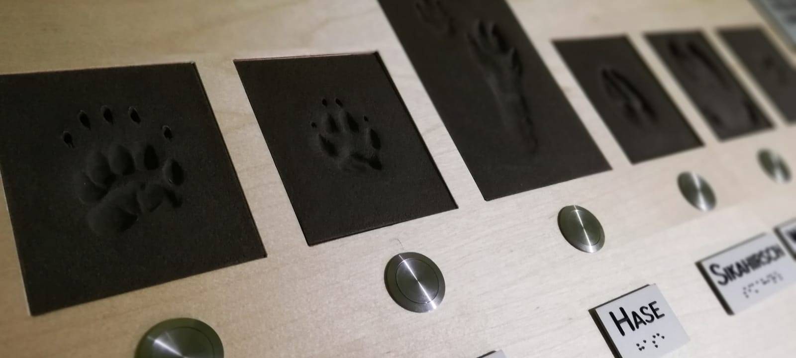 Indoor-Ausflugsziele für die Osterferien im Kreis Soest