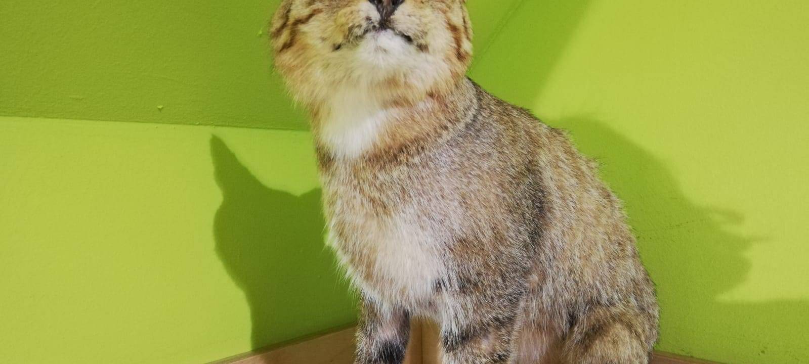 Indoor-Ausflugsziele für die Osterferien im Kreis Soest