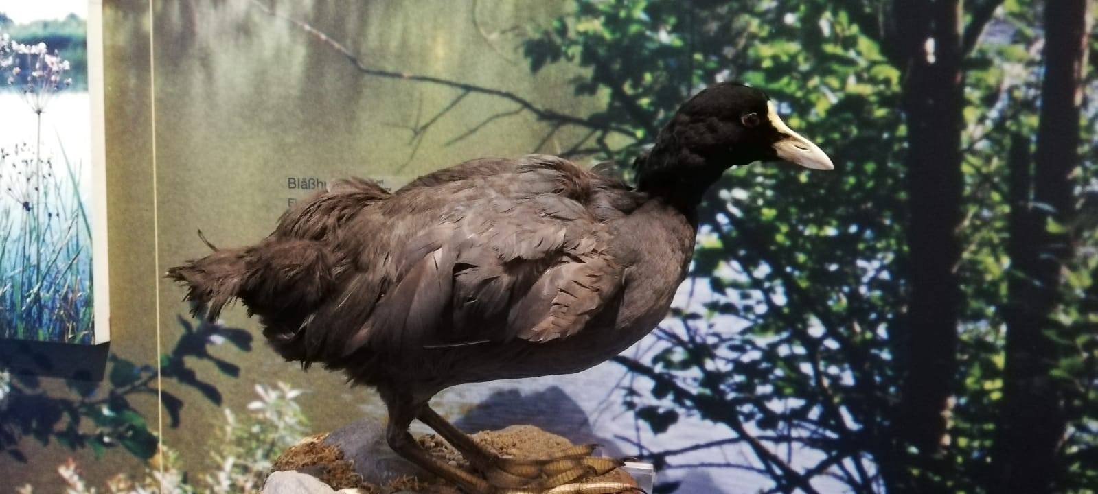 Indoor-Ausflugsziele für die Osterferien im Kreis Soest