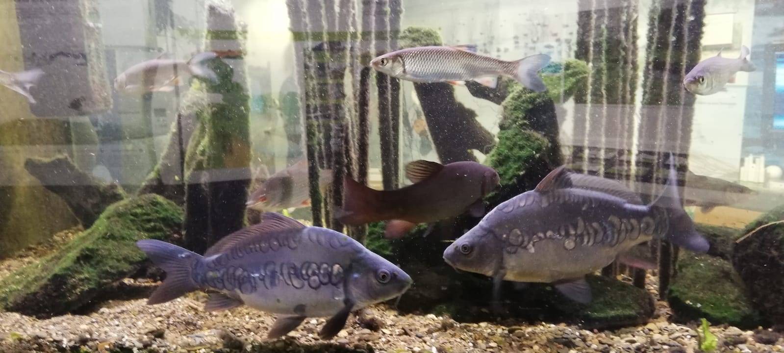 Indoor-Ausflugsziele für die Osterferien im Kreis Soest