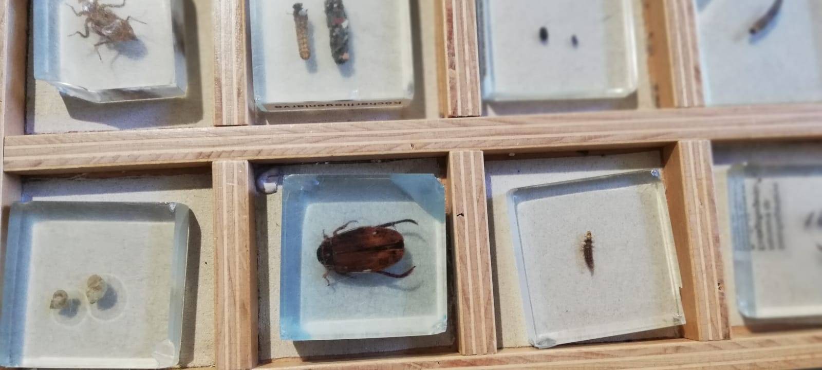 Indoor-Ausflugsziele für die Osterferien im Kreis Soest