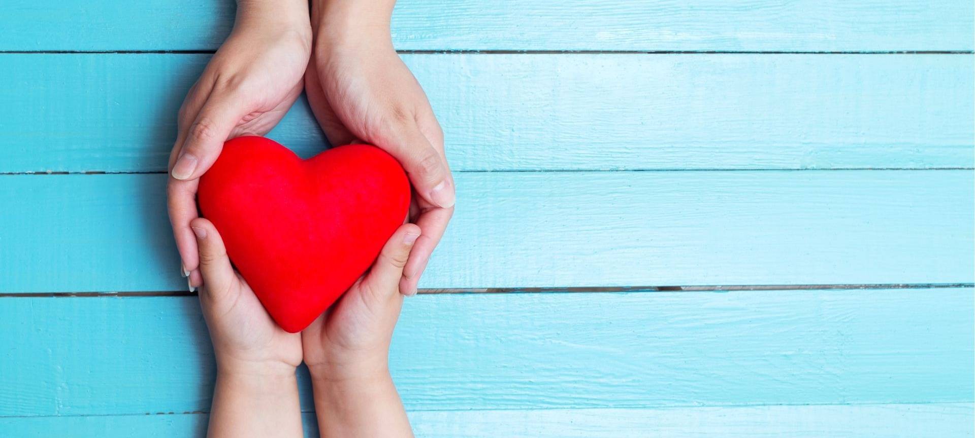 Hände die ein rotes Herz halten