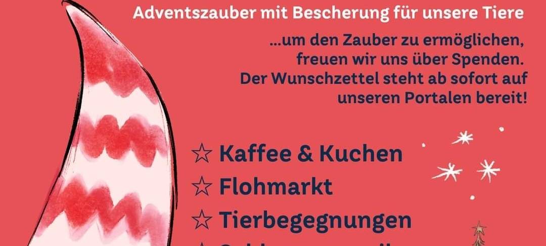 Offener Sonntag im Tierheim Lippstadt