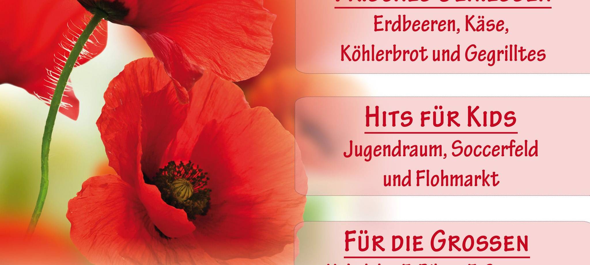 Hirschberg blüht auf