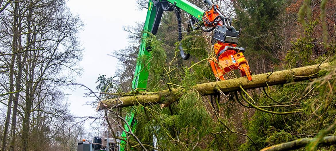 Grünpflegearbeiten vor Vogelbrutzeit: Lippstadt sorgt für Sicherheit