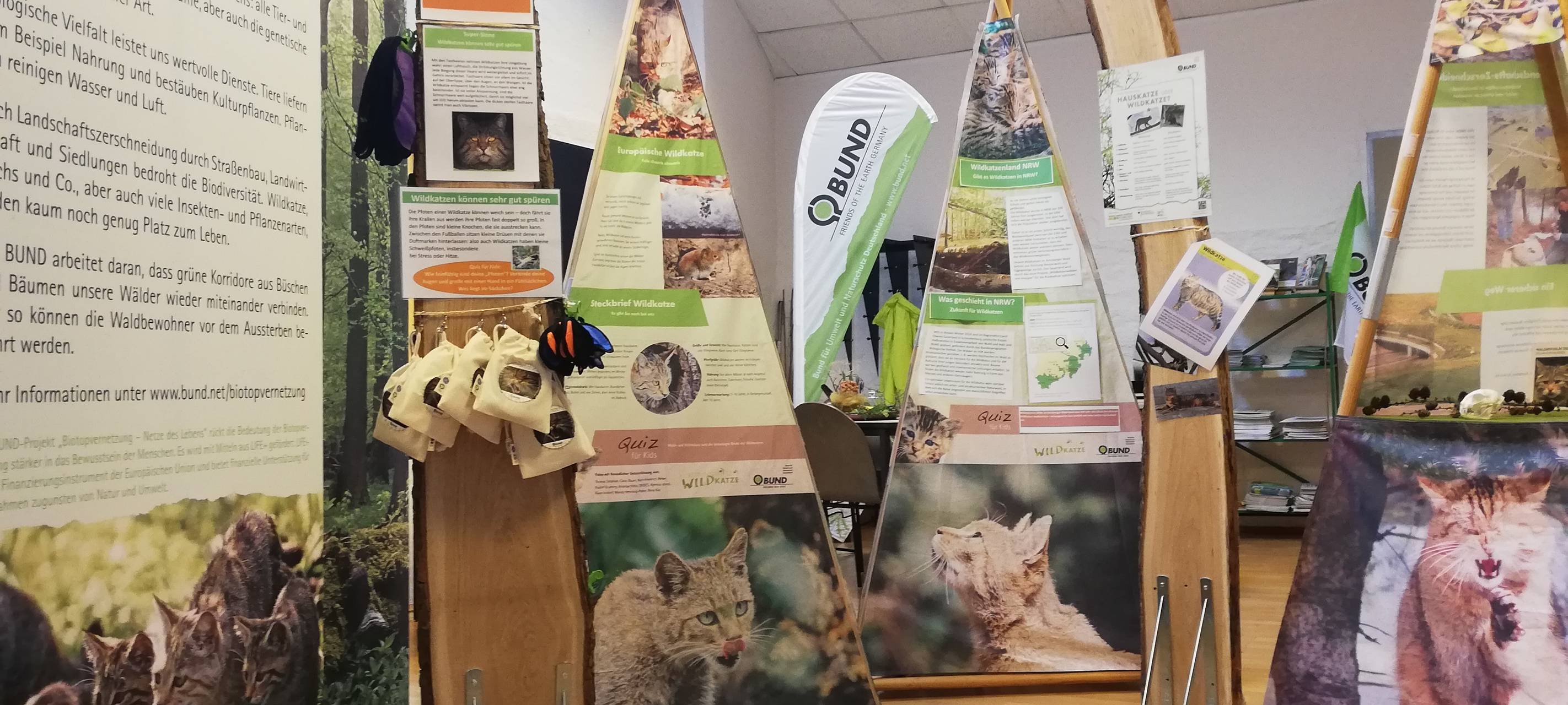 Interaktive Wildkatzen-Ausstellung für die ganze Familie