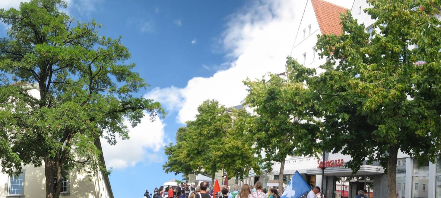 Soest entscheidet: Bleiben die Marktplatz-Bäume?
