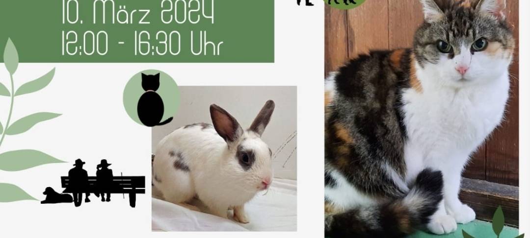 Offener Sonntag im Tierheim Lippstadt