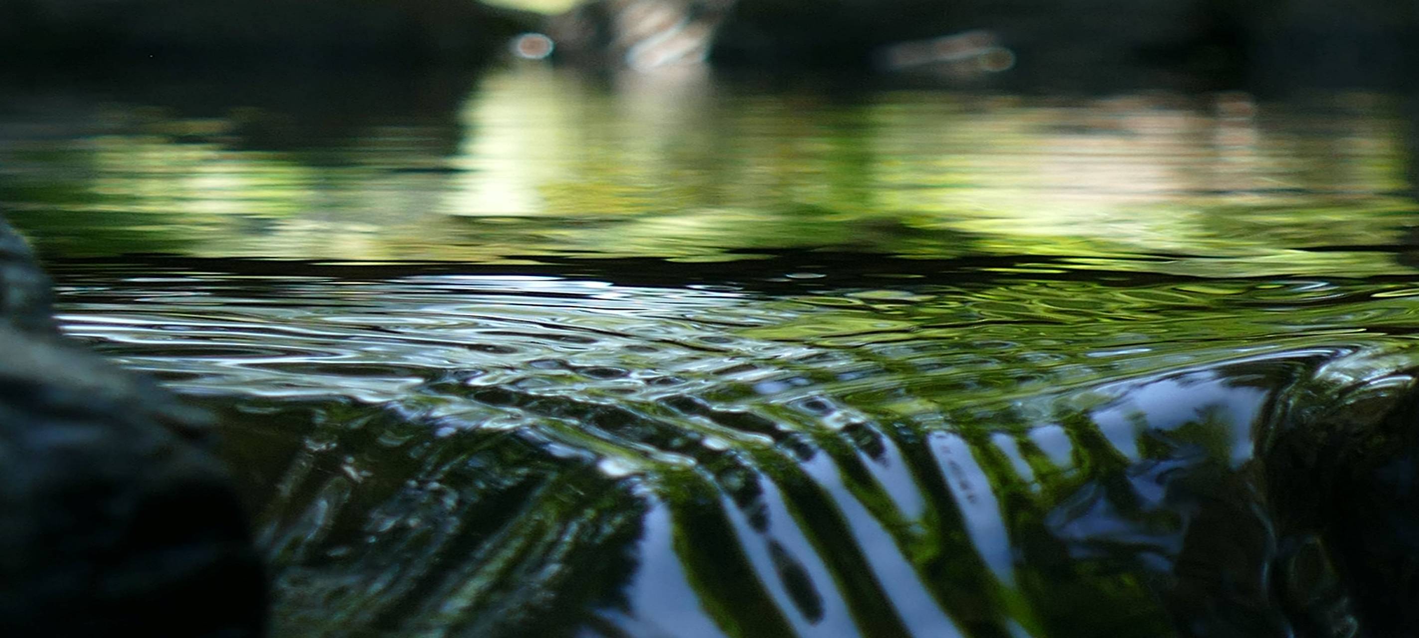 Ästhetik und Symphonie des Arnsberger Waldes: Vernissage