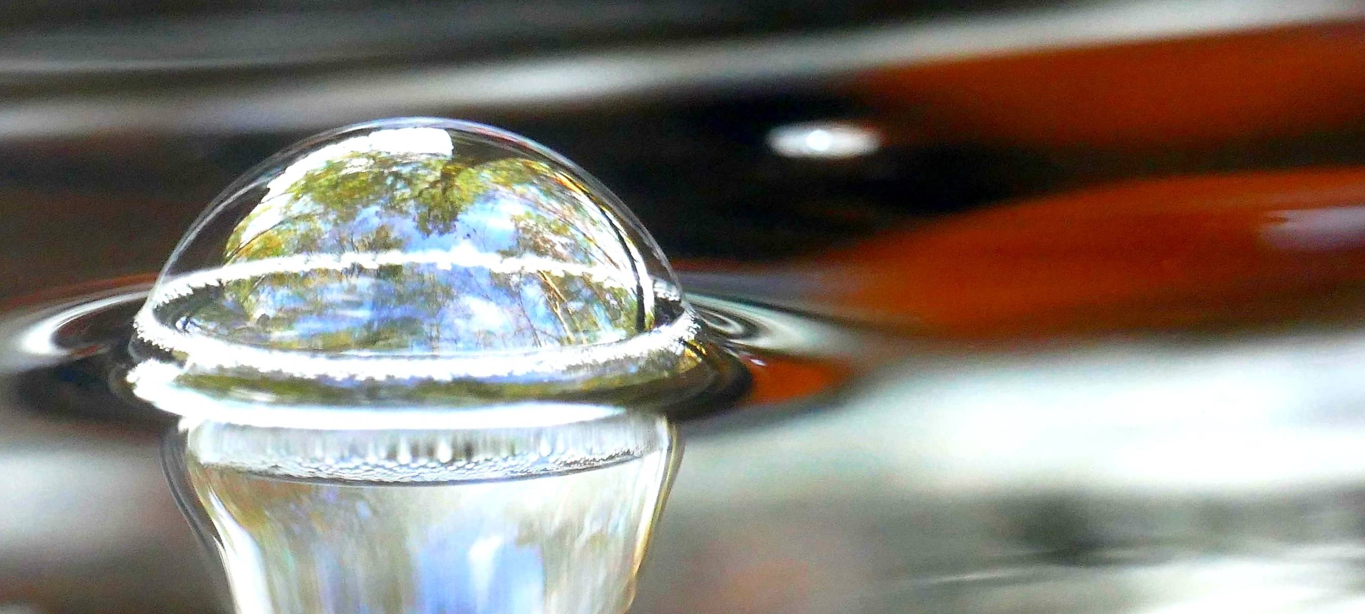 Ästhetik und Symphonie des Arnsberger Waldes: Vortrag über die Magie des Waldes