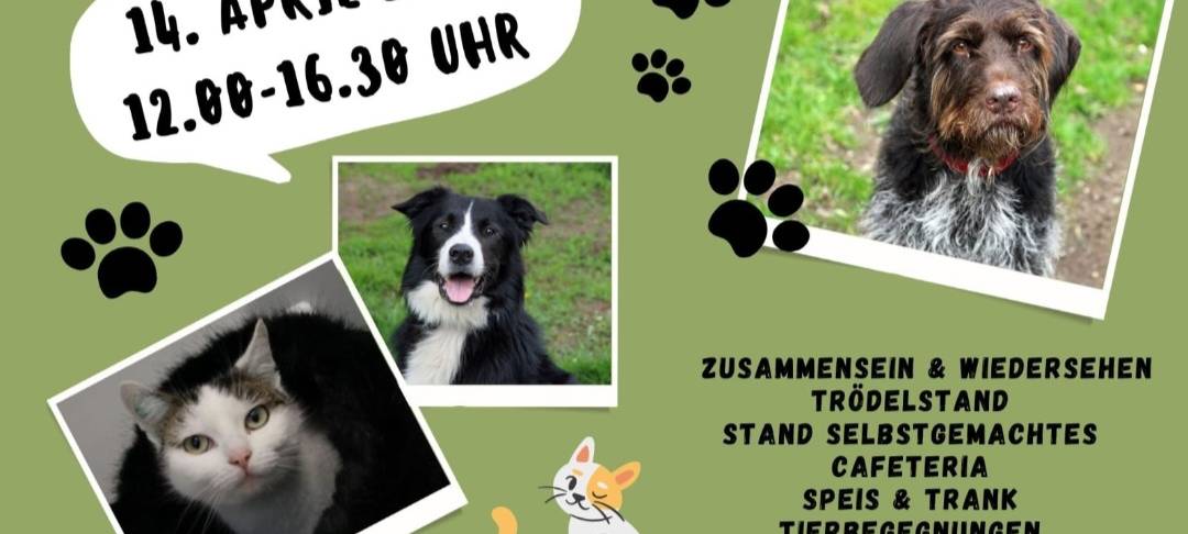 Offener Sonntag im Tierheim Lippstadt