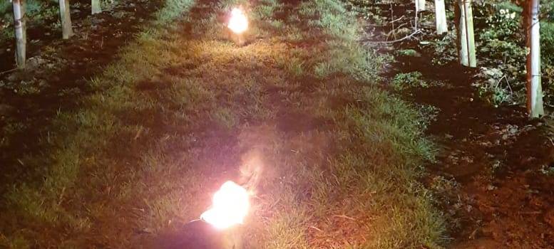 Frost im Kreis Soest stellt Obstbauern vor Herausforderungen