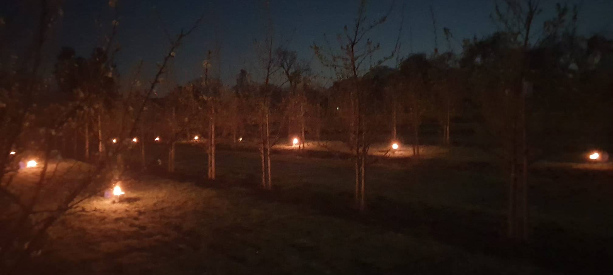 Frost im Kreis Soest stellt Obstbauern vor Herausforderungen