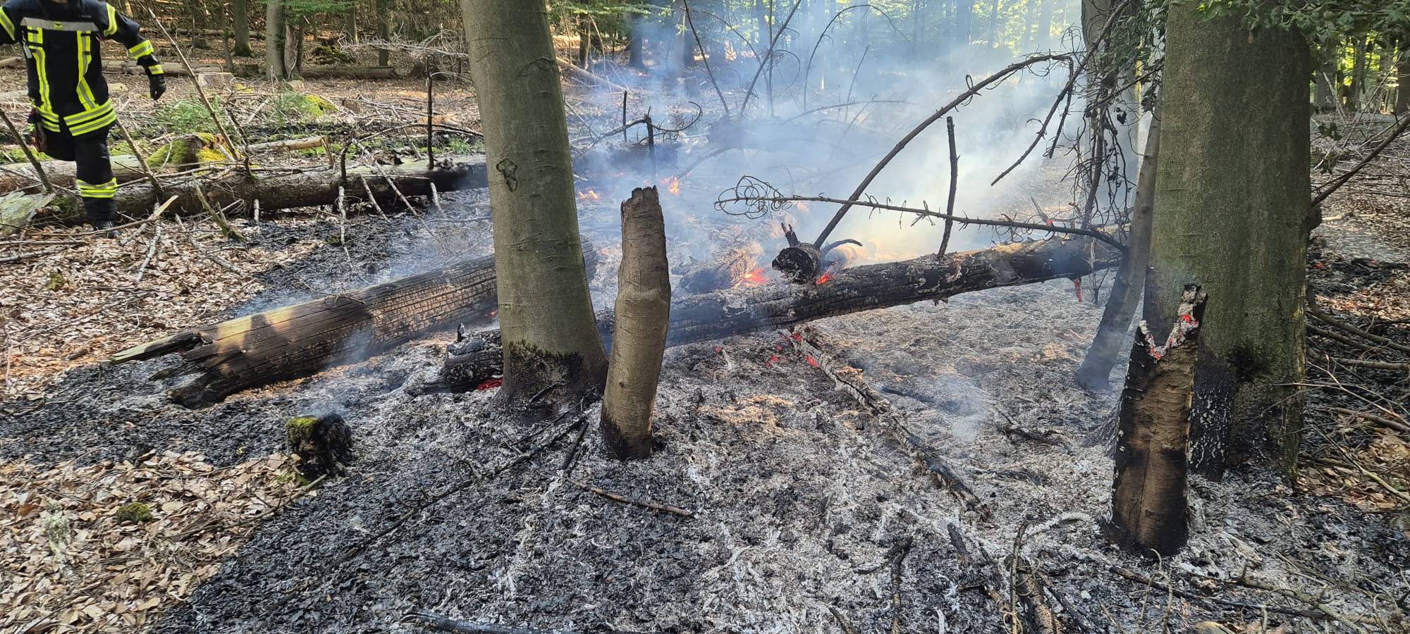Im Juli 2024 gab es einen kleinen Waldbrand bei Ense-Niederense.